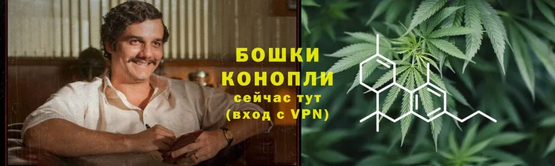 Марихуана Bruce Banner  купить наркотик  Касимов 